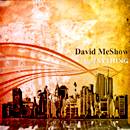 David Meshow : Anything Single